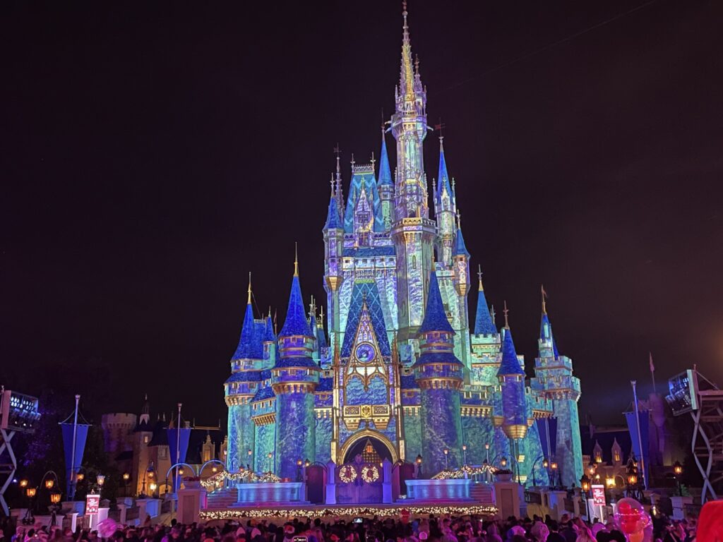 Magic Kingdom Acronyms