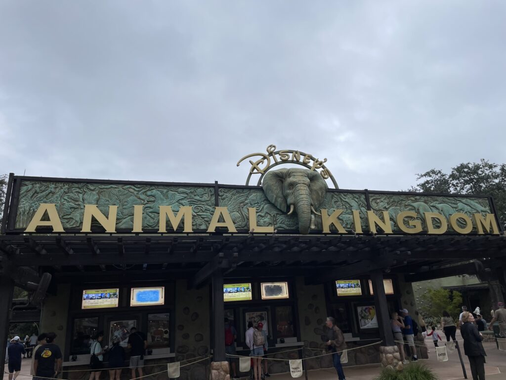 Disney's Animal Kingdom Acronyms