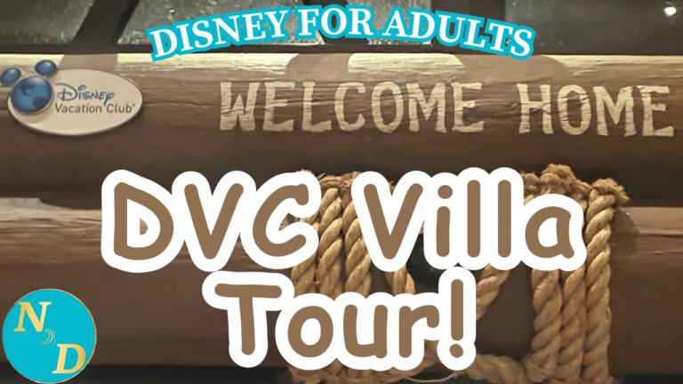 DVC Room Tour Animal Kingdom 1 Bedroom Villa