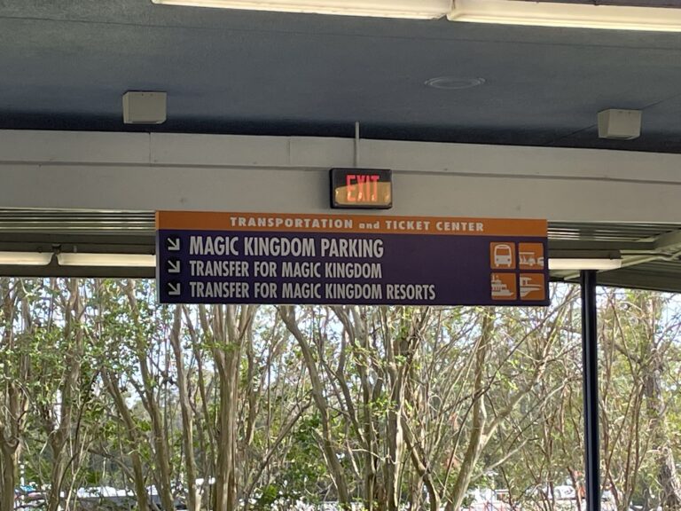 Disney World Transportation