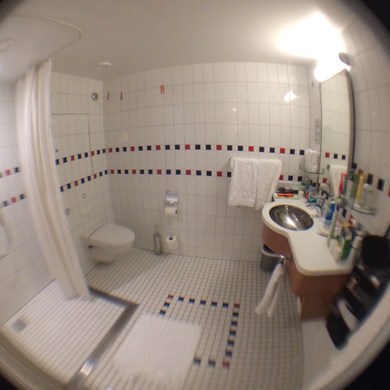 Accessible bathroom courtesy of the author and DCL