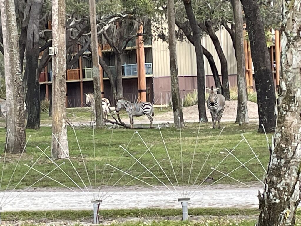 Disneys Animal Kingdom Lodge - Kidani Village