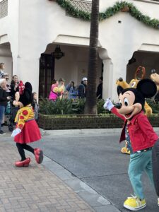 Mouse Ears