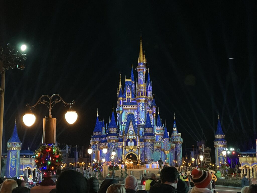Disney World Visitor Facts
