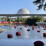 Walt Disney World Visitor Facts