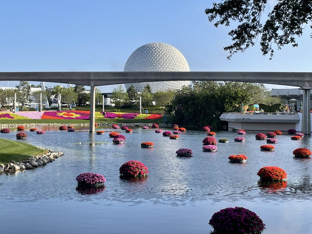 Disney World Solo