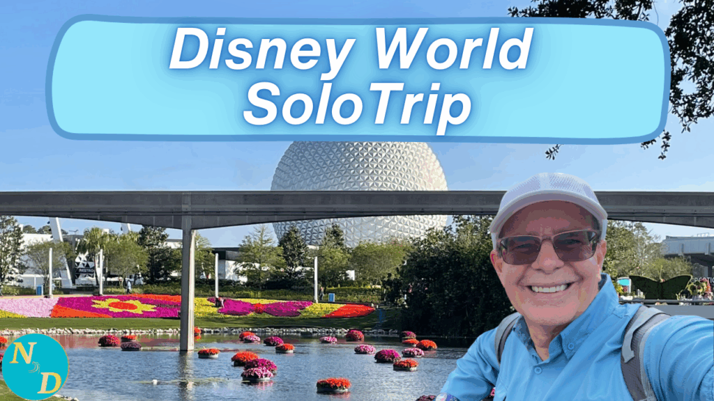 Solo Disney Trip