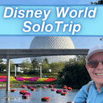 Solo Disney Trip