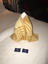 Disney Cruise Towel Animals