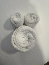 Disney Cruise Towel Animals