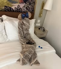 Disney Cruise Towel Animals