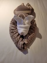 Disney Cruise Towel Animals