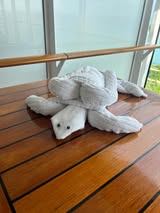 Disney Cruise Towel Animals
