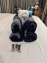 Disney Cruise Towel Animals