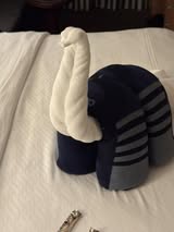 Disney Cruise Towel Animals