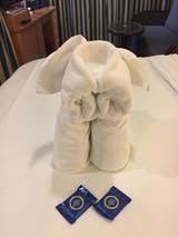 Disney Cruise Towel Animals