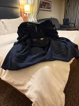 Disney Cruise Towel Animals