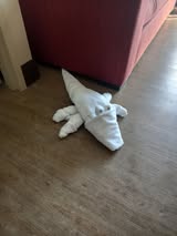 Disney Cruise Towel Animals