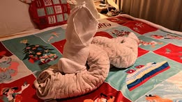 Disney Cruise Towel Animals