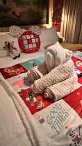 Disney Cruise Towel Animals