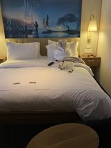 Disney Cruise Towel Animals