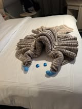 Disney Cruise Towel Animals