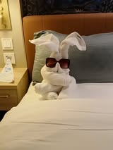 Disney Cruise Towel Animals