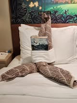 Disney Cruise Towel Animals