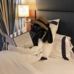 Towel Animal