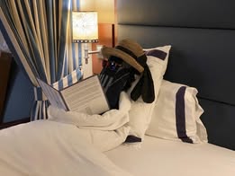 Towel Animal