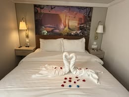 Towel Animal