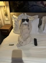 Towel Animal