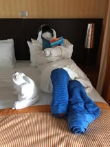 Towel Animal
