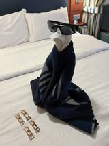 Towel Animals