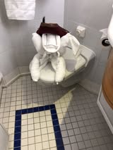 Towel Animals