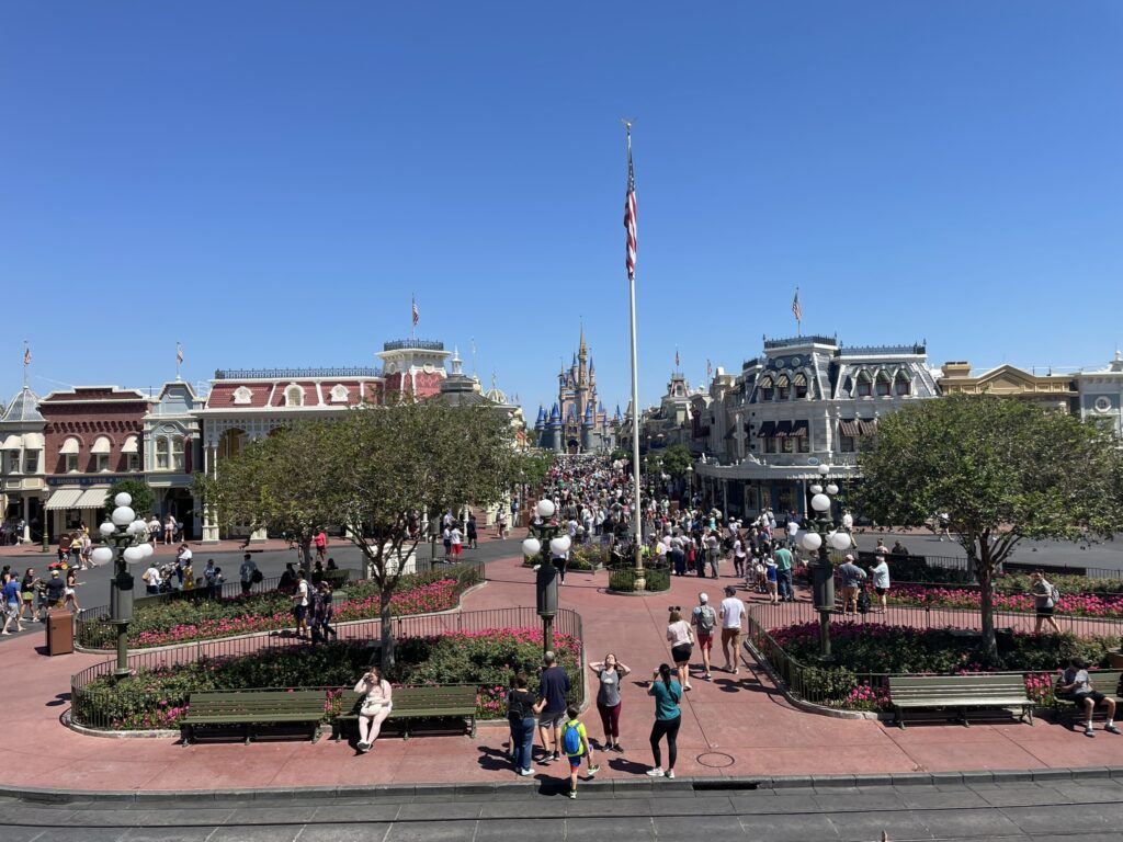 Disney Park Survey