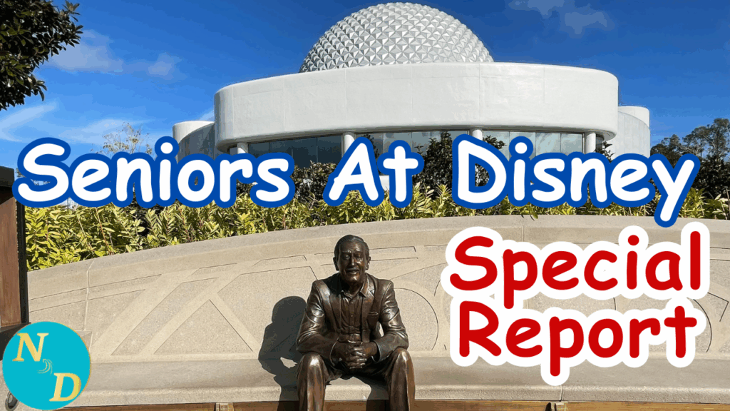 Disney Parks Survey