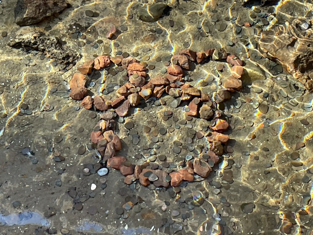 Disney's Animal Kingdom