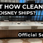 How Clean Are Disney Cruise Ships