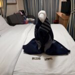 Disney Magic Stateroom Experience