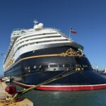 Disney Magic Navigation for Adults