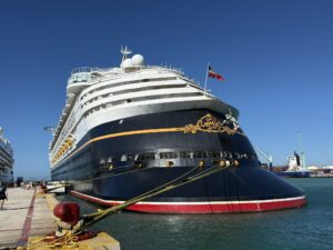 Disney Magic Navigation for Adults